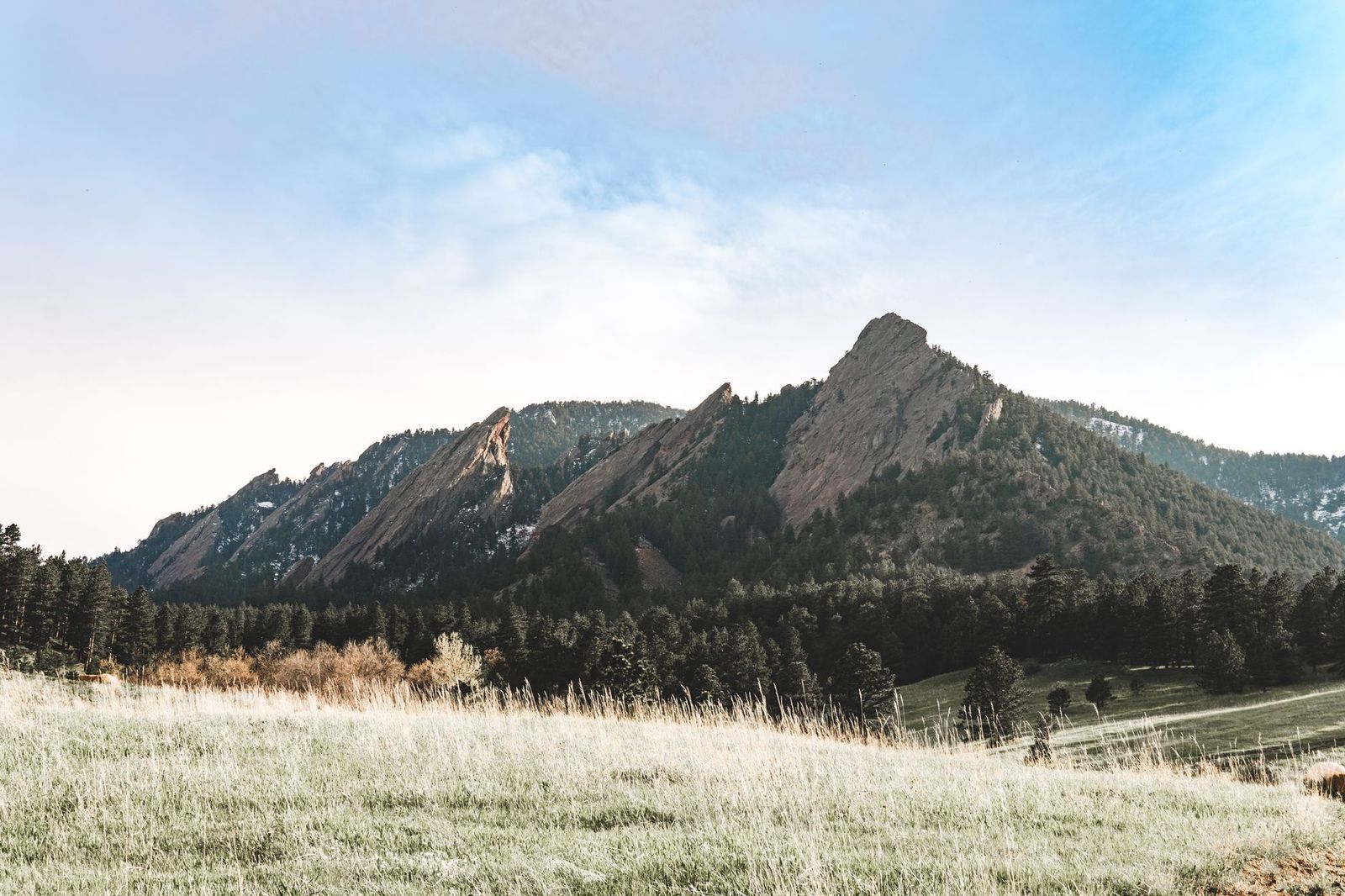 The Flatirons rising above meadows and pines in Boulder, Colorado