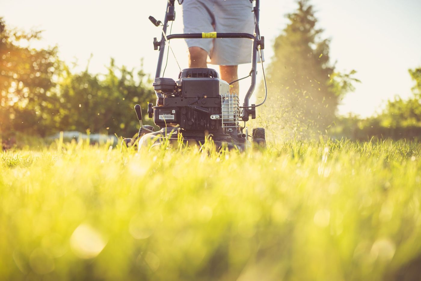 Mower cutting a backyard lawn in low evening sun