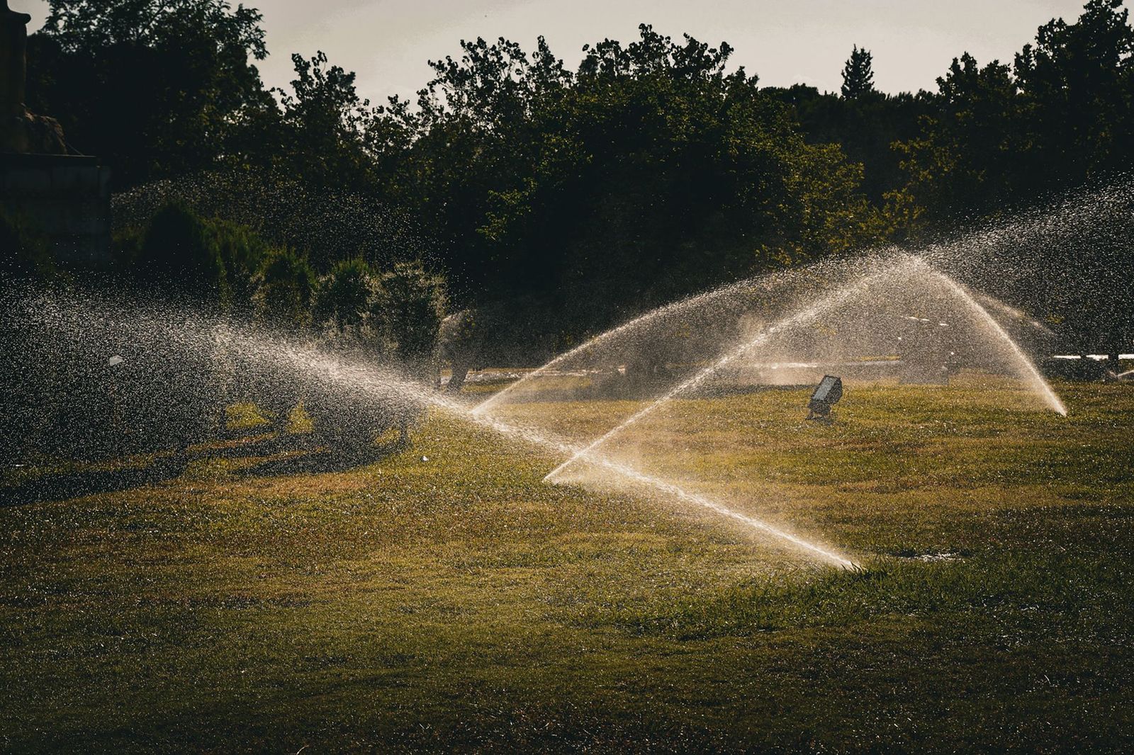 Sprinklers running across a lawn at dusk