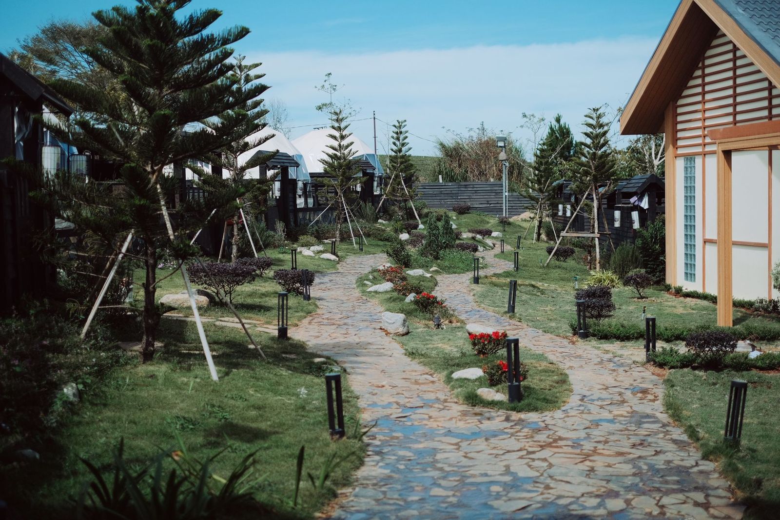 Stone walkway winding through a newly planted yard