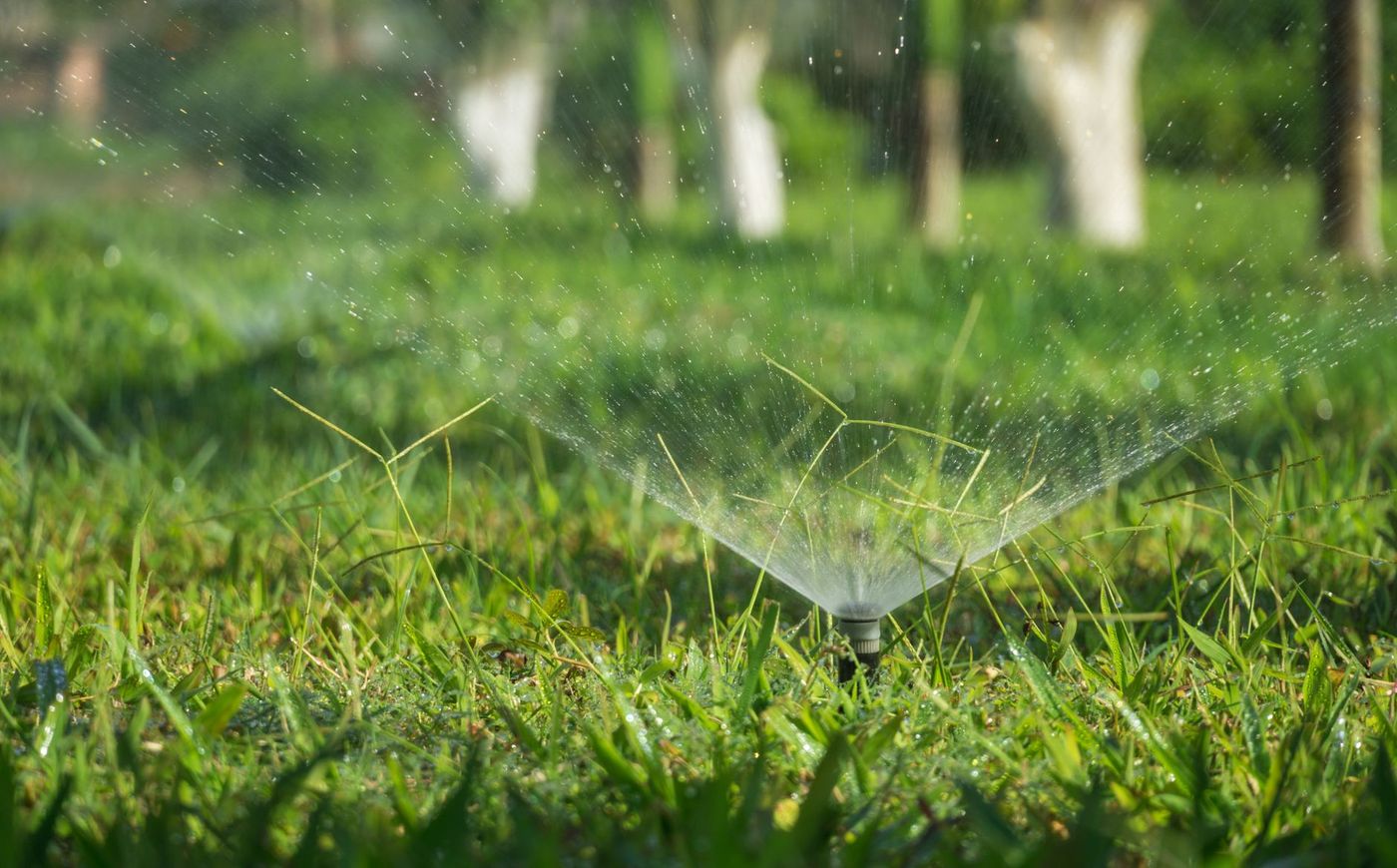 Sprinkler head watering a green lawn