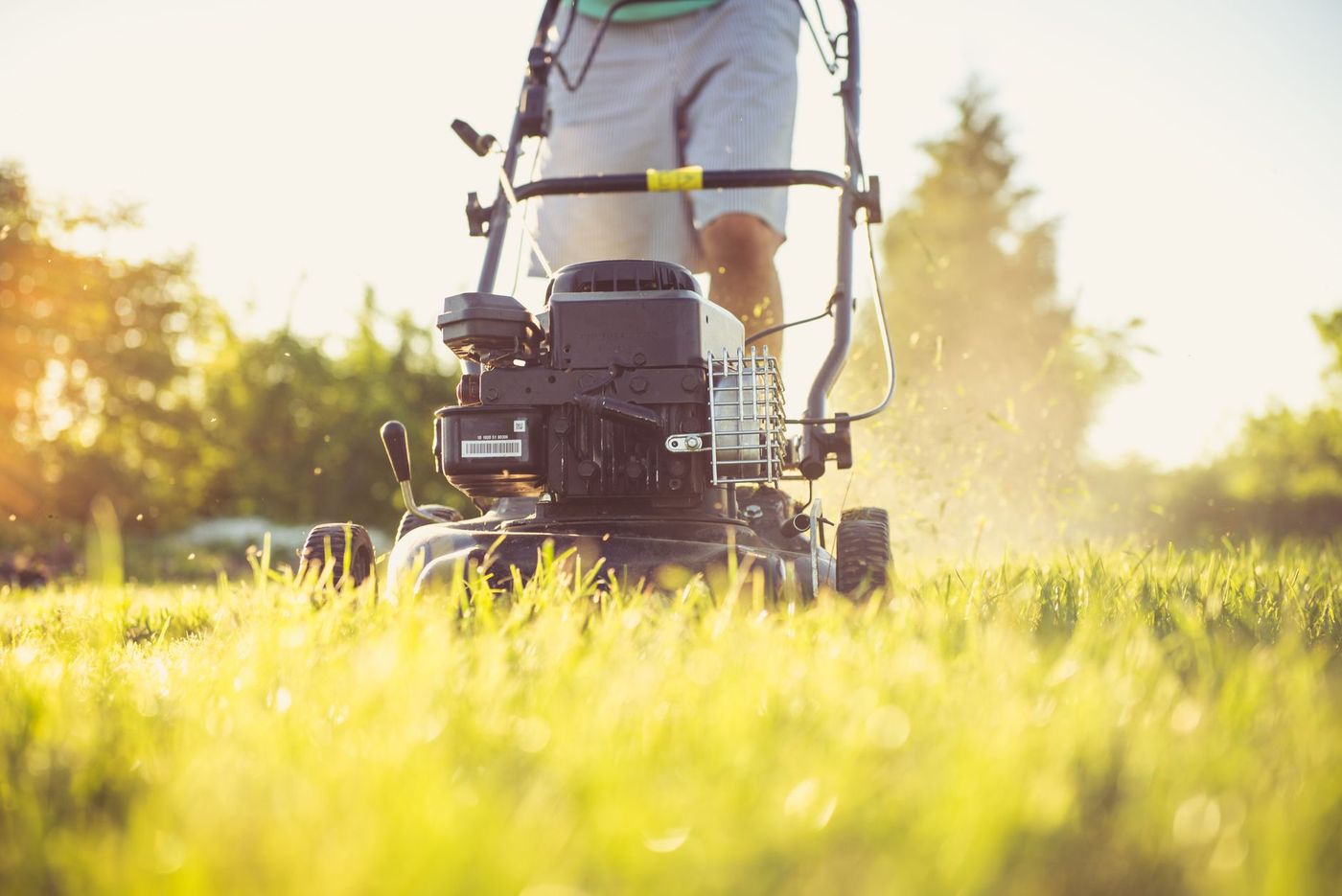 Mowing a lawn in evening light